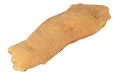 Aorta