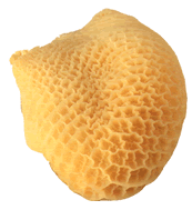 bonete