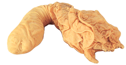 Cuajo