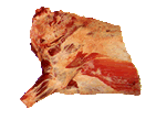 Cuarto Delantero a 10 Costillas