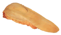 Lengua