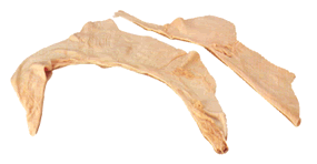 Membrana